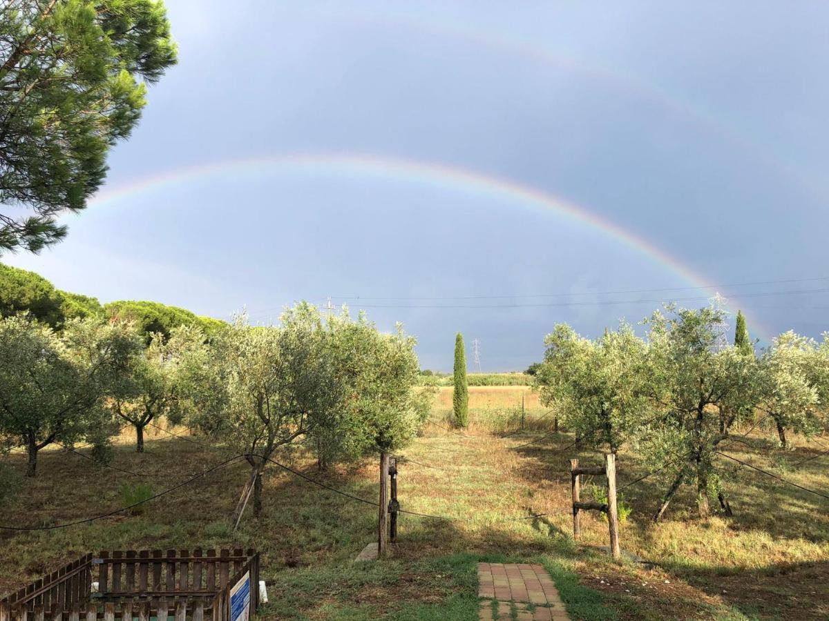 Il Podere Di Sole Roccastrada Exterior photo